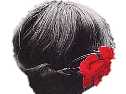 Rainer Hanemann "Blume im Haar"