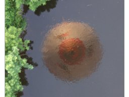 Rainer Hanemann "Abgehoben2"