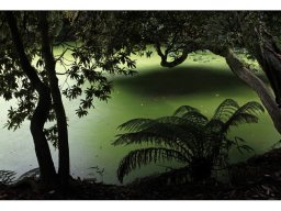 Christel Trica "Am Teich im Wald"