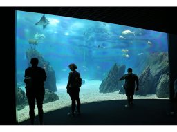 Volker Klaukien "Aquarium"