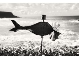 Wolfgang Seidel "Am Meer"