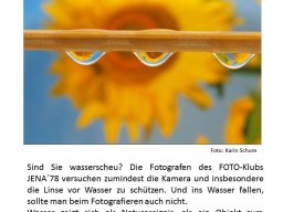 Ausstellung Wassersch(e)au Plakat