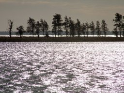 Manfred Fleischmann "Bodden"