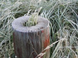 Joachim Schindler "Winter naht"