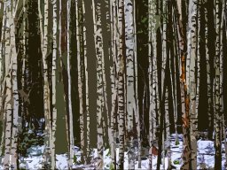 Volker Klaukien "Birkencollage"