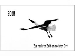 Rainer-Hanemann "Neujahr 2018"