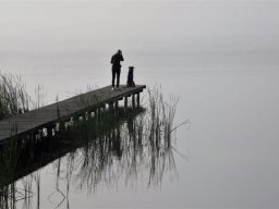 Wolfgang Teuber "Morgens am Scharmützelsee"