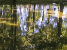 IMG_2Sommer