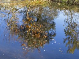 IMG_3Herbst