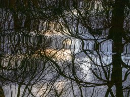 IMG_4Winter