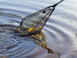 IMG_6Anglergluck
