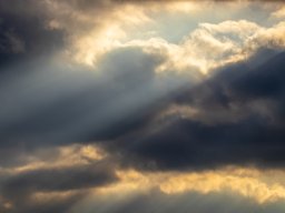 IMG_5