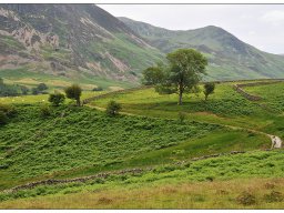 09_LakeDistrict-CrummockWater-Kopie