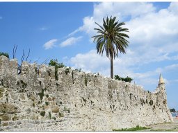 baum_015