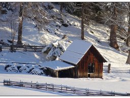 01_alte-Htte-am-Waldrand